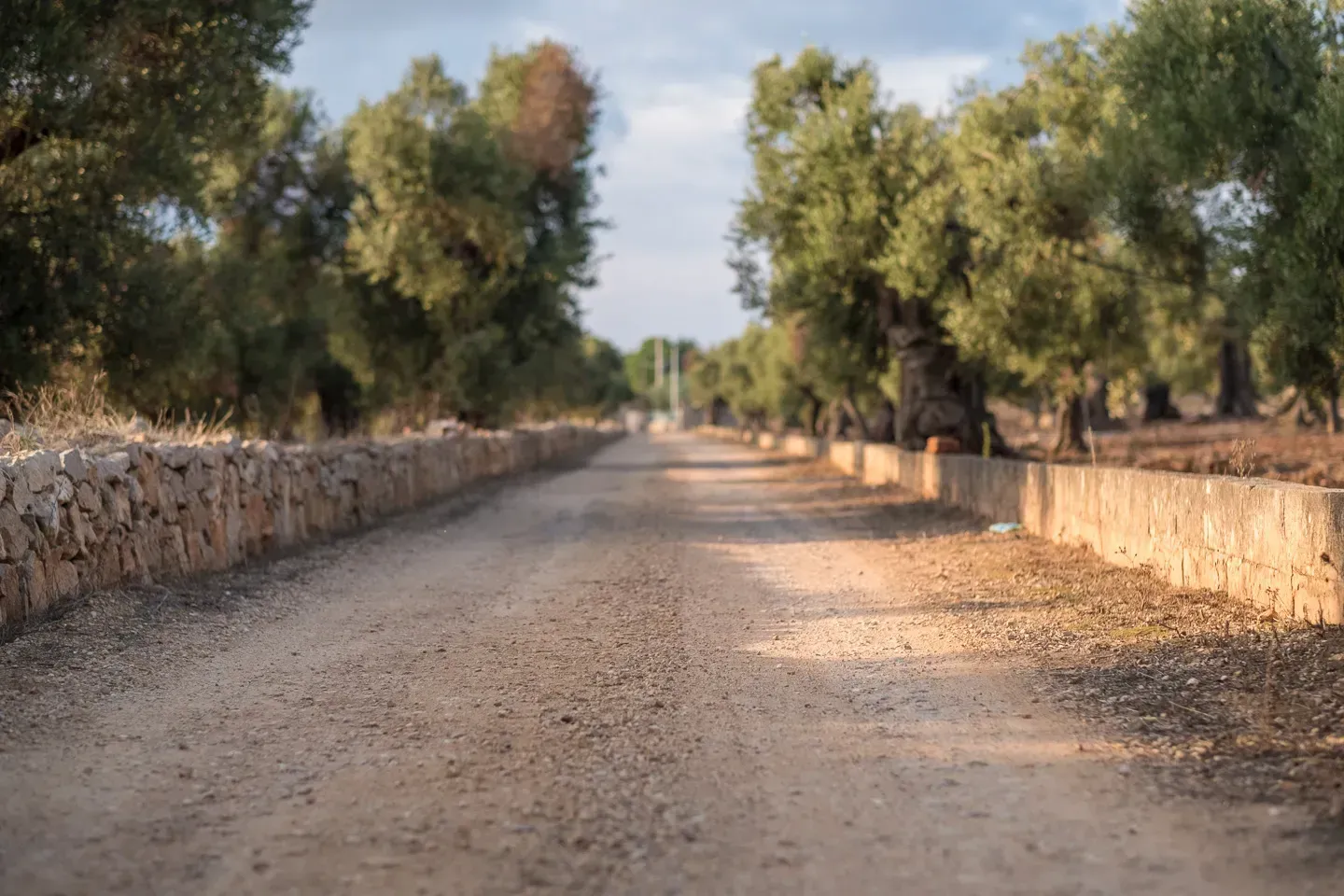 2016 spainitaly image 109
