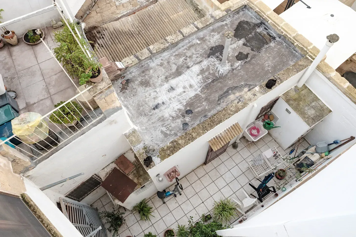 2016 spainitaly image 116