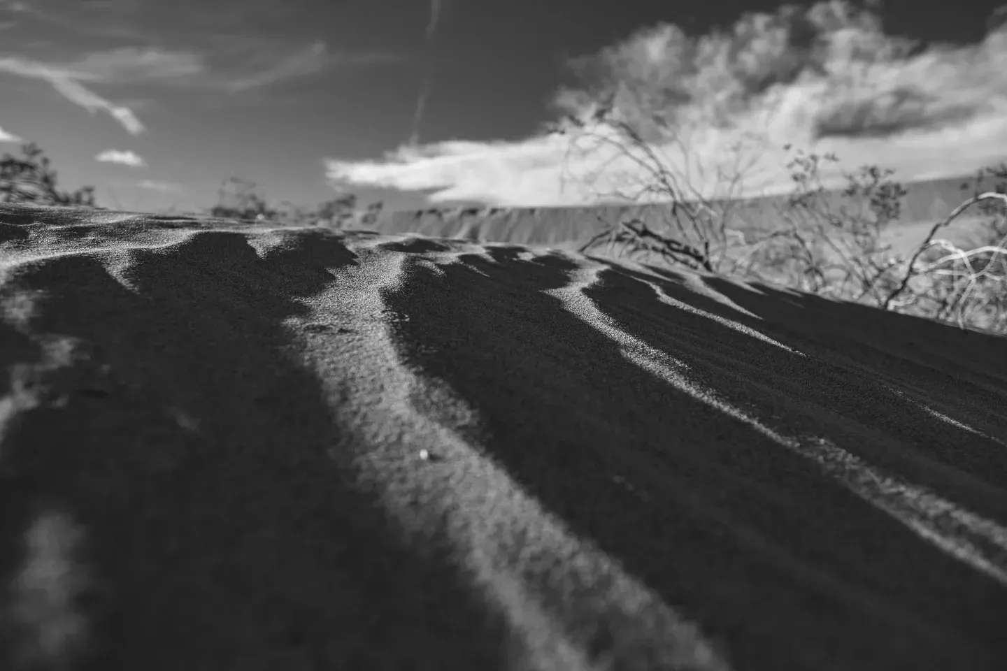 2017 bishopmojave image 37
