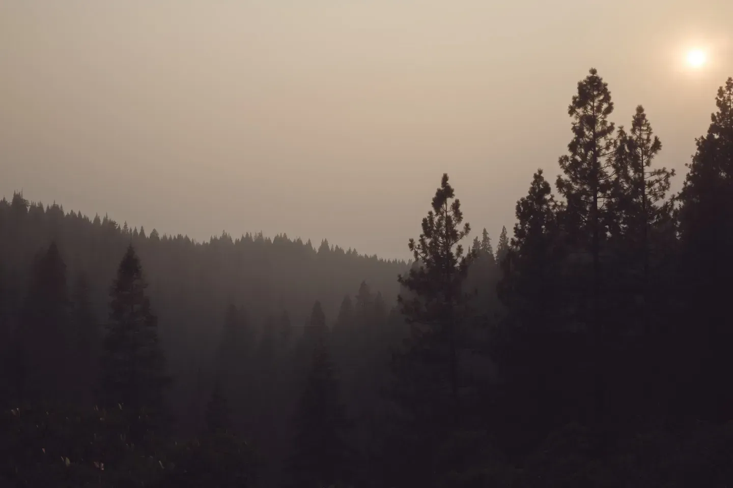 2017 eclipse image 12