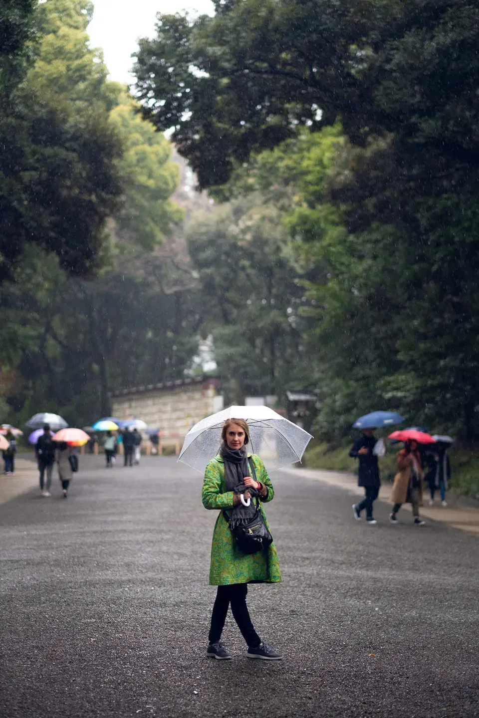2018 japan image 4