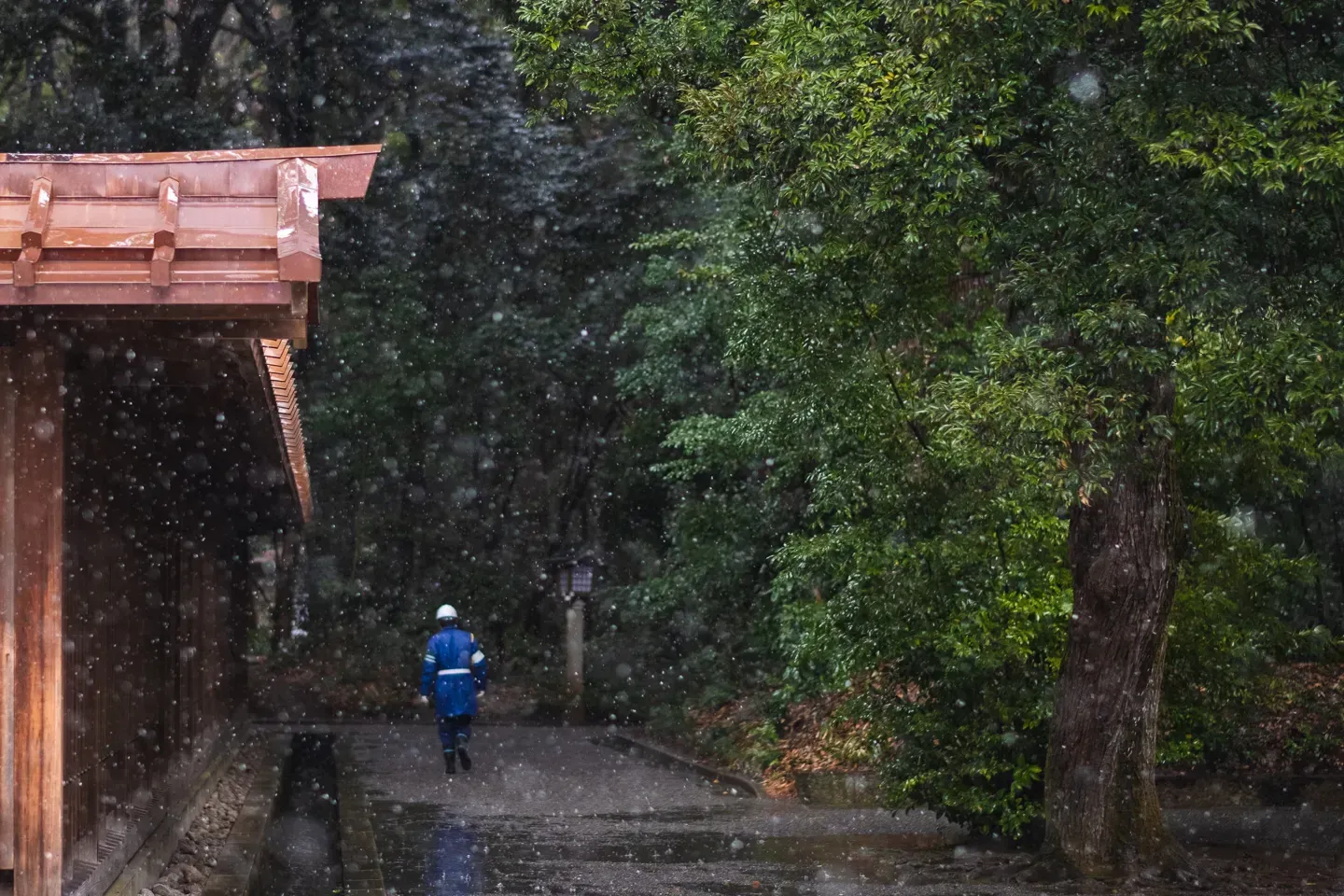 2018 japan image 6