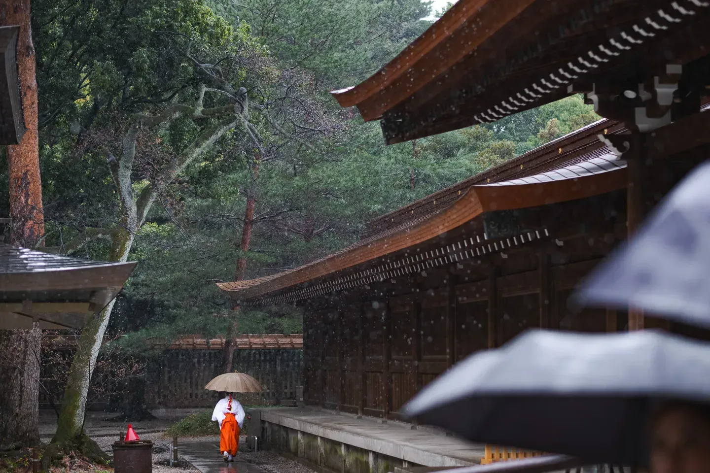 2018 japan image 11