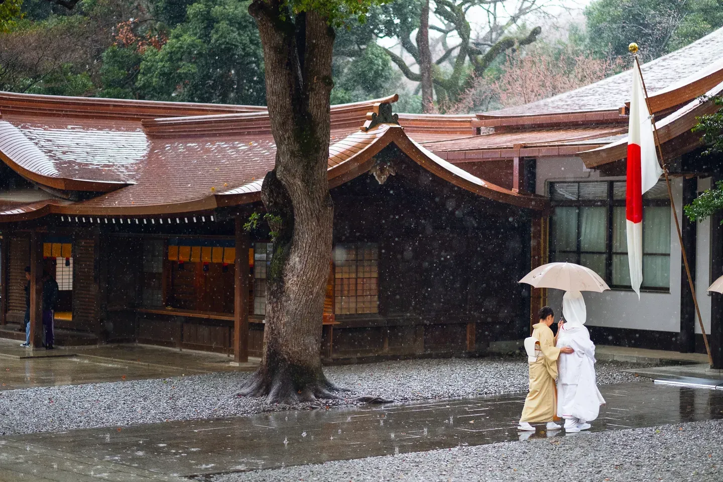 2018 japan image 17