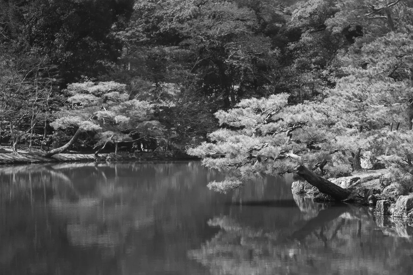 2018 japan image 61