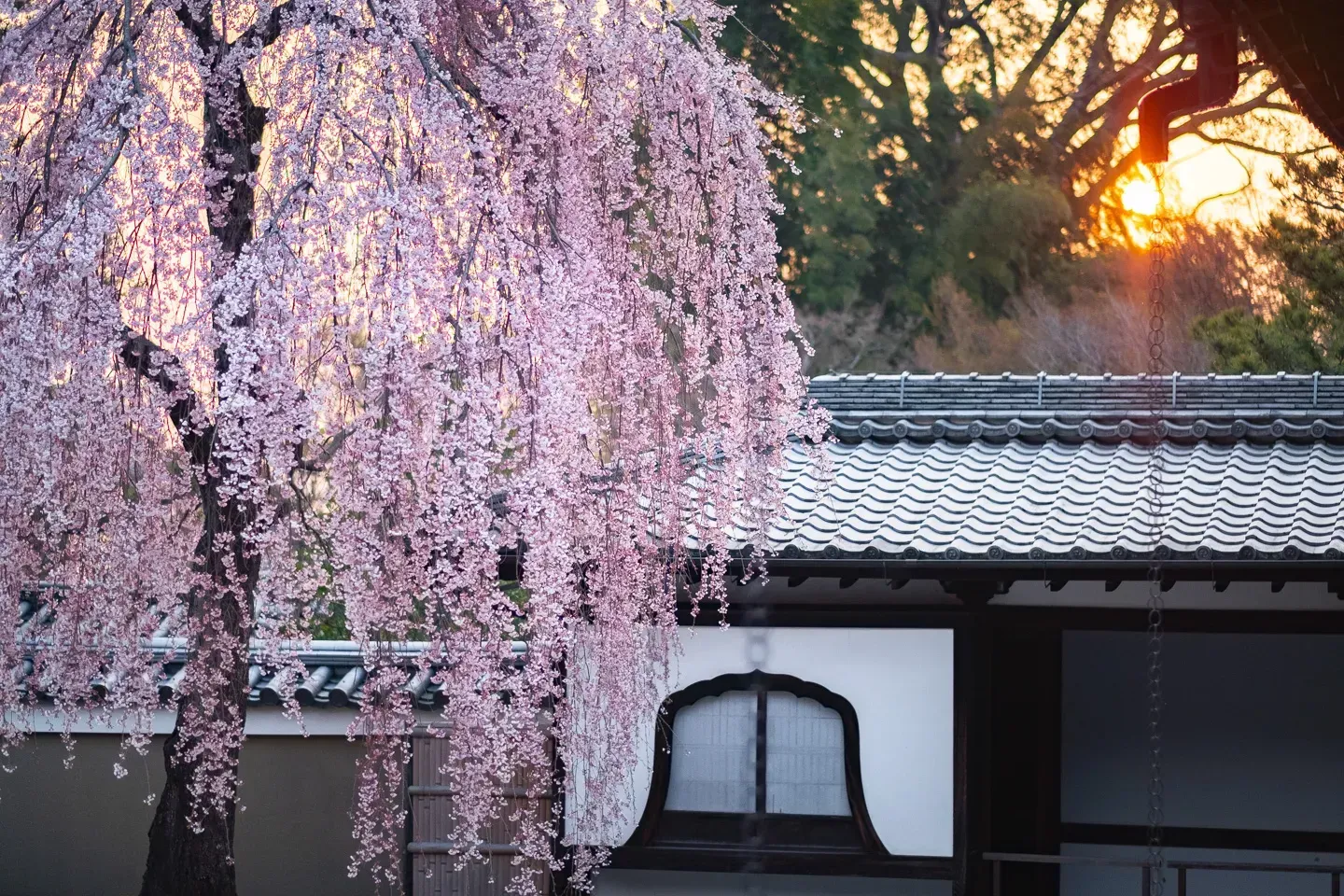 2018 japan image 68