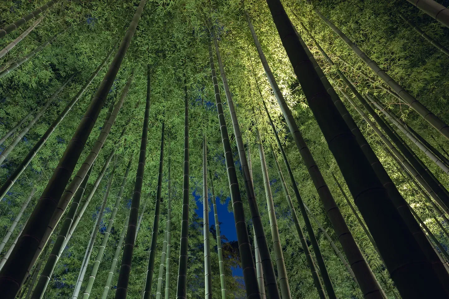 2018 japan image 69