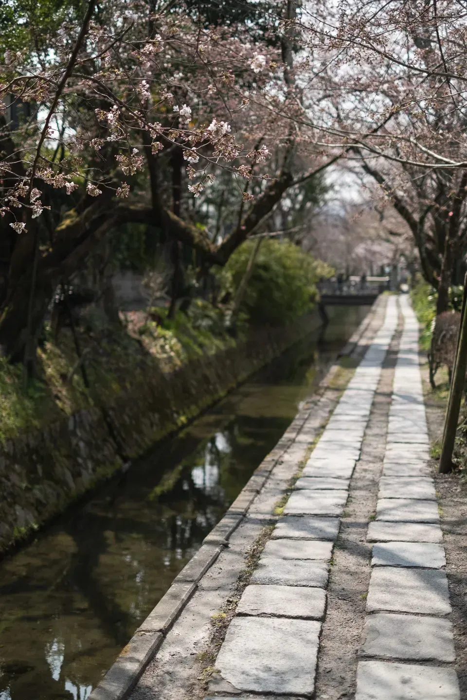 2018 japan image 77