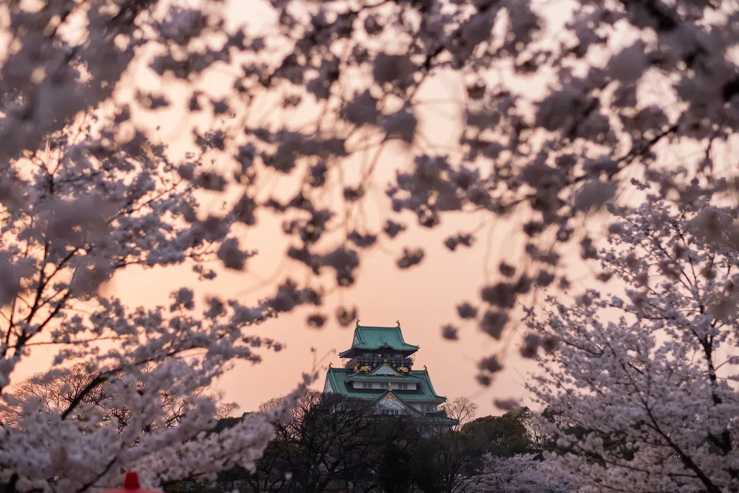 2018 japan image 105