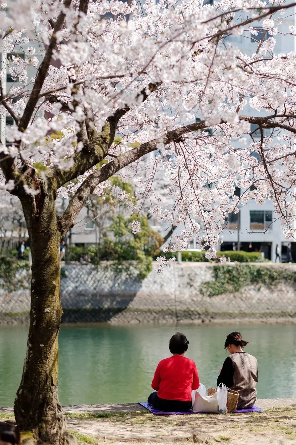 2018 japan image 110
