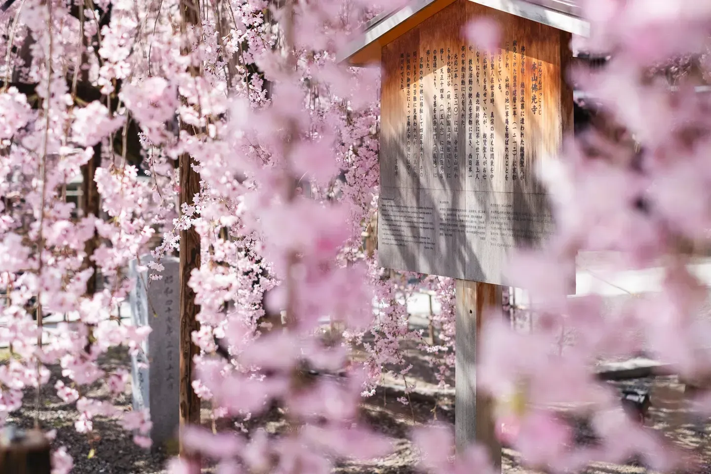 2018 japan image 118