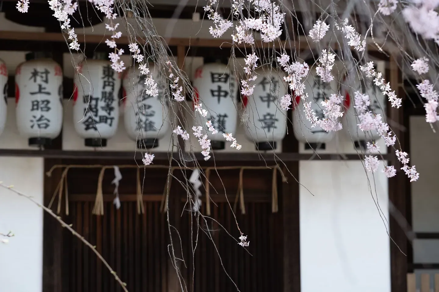 2018 japan image 129