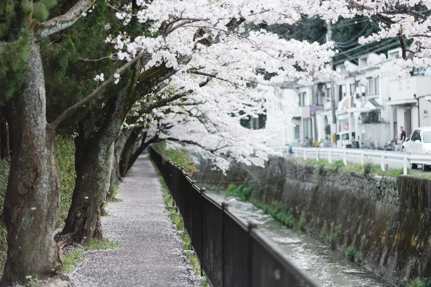 2018 japan image 139