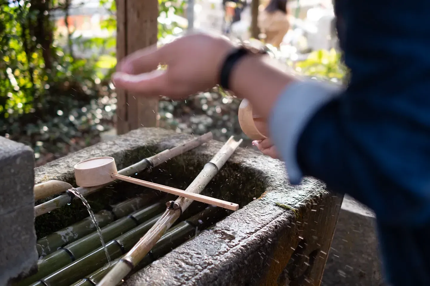 2018 japan image 141