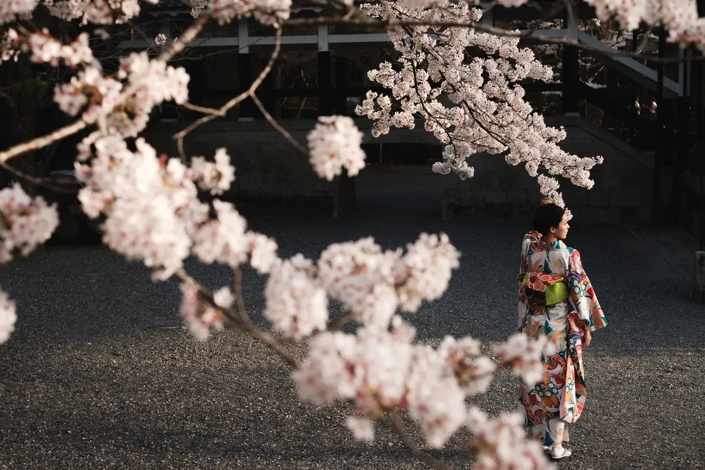 2018 japan image 146