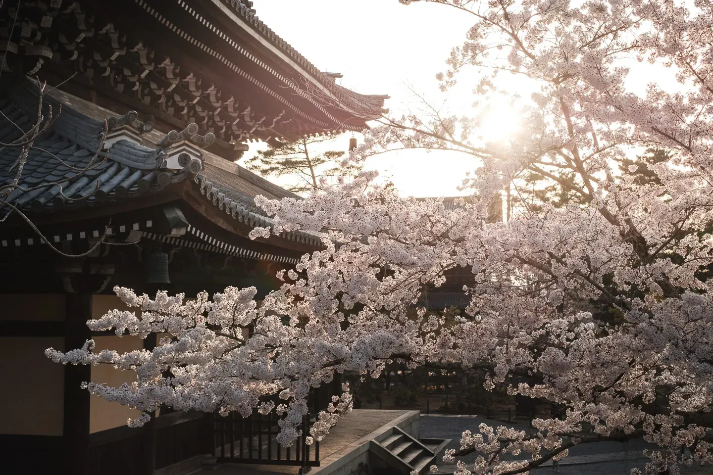 2018 japan image 148