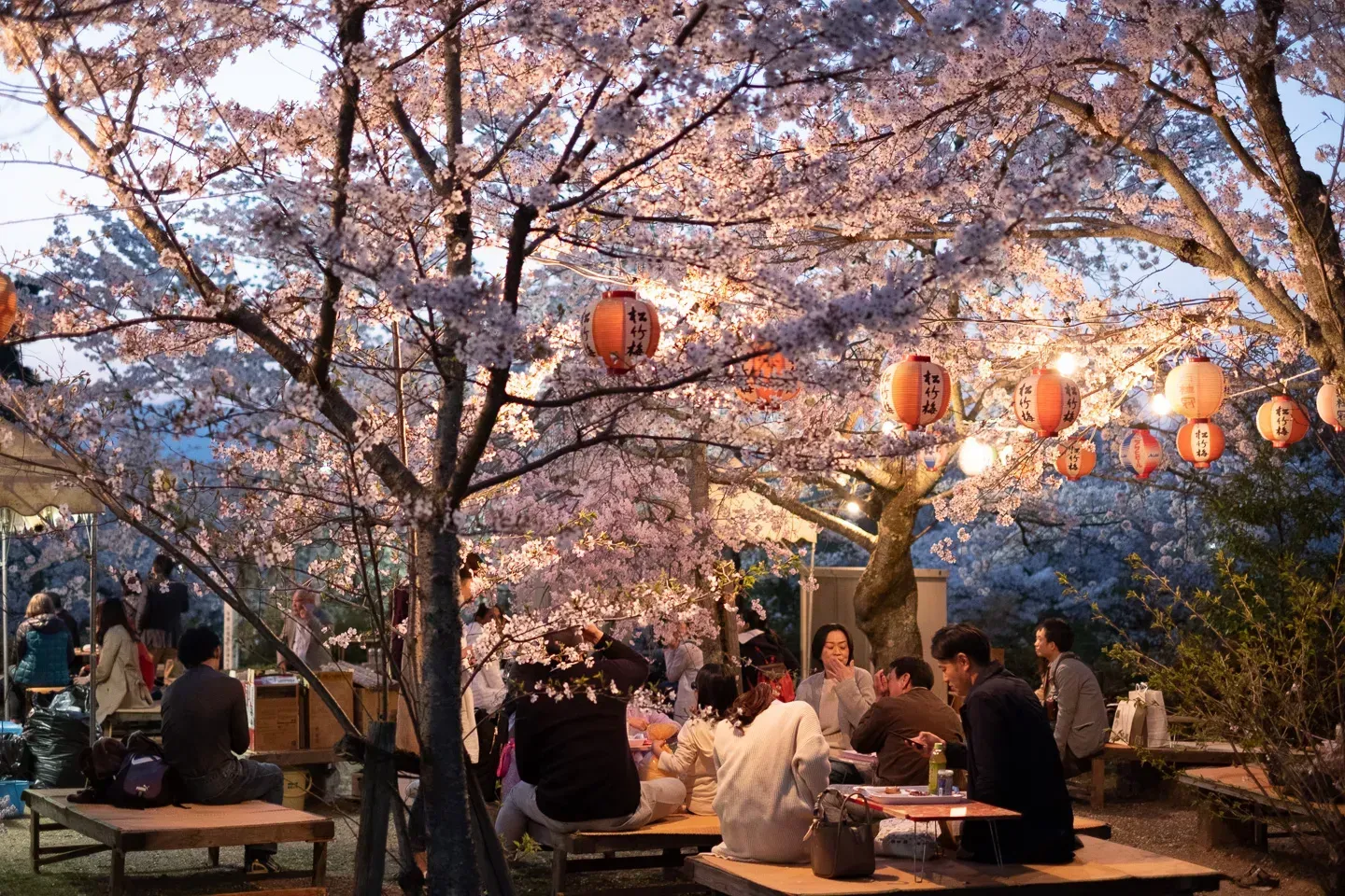 2018 japan image 152