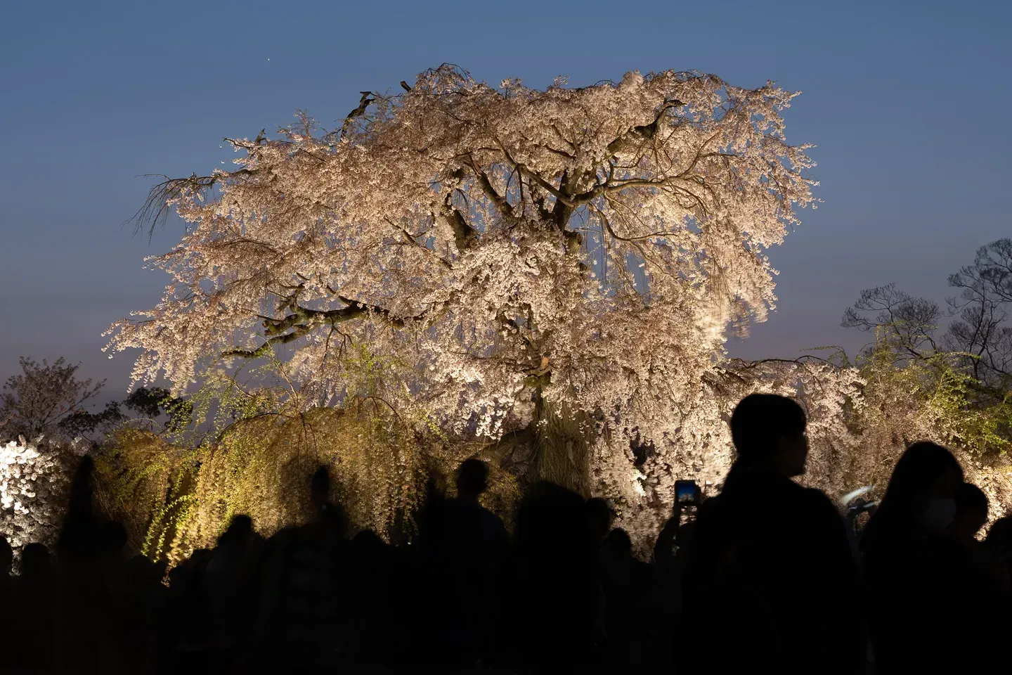 2018 japan image 153