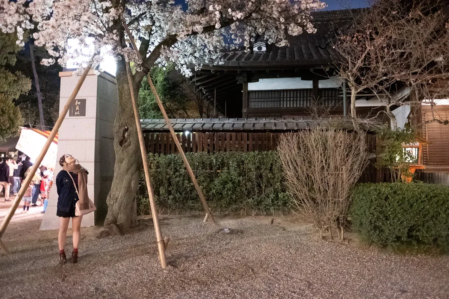 2018 japan image 161
