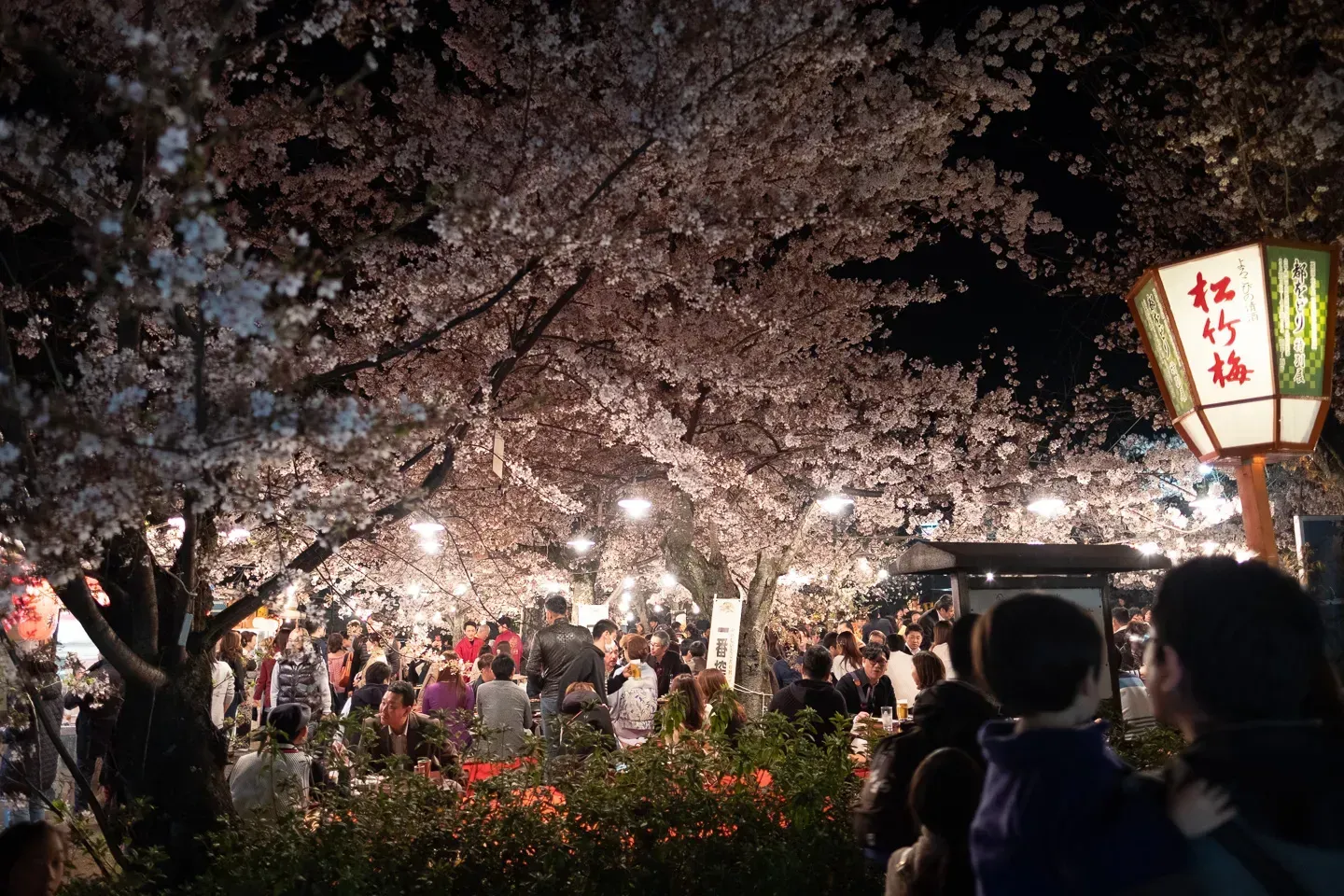 2018 japan image 162
