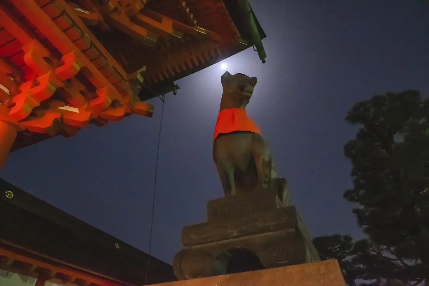 2018 japan image 165