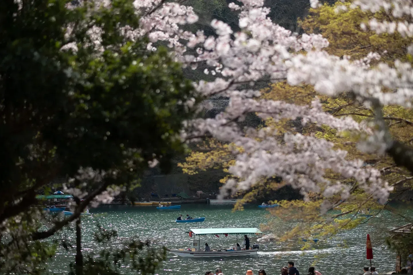2018 japan image 180