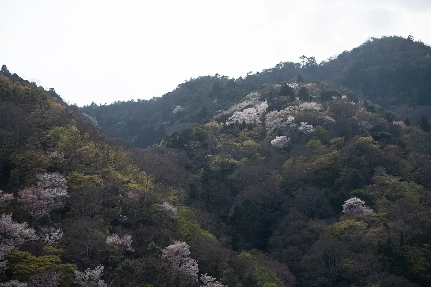 2018 japan image 182