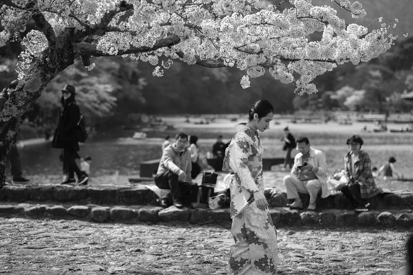 2018 japan image 183