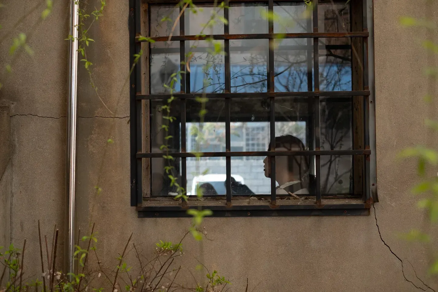 2019 korea image 15