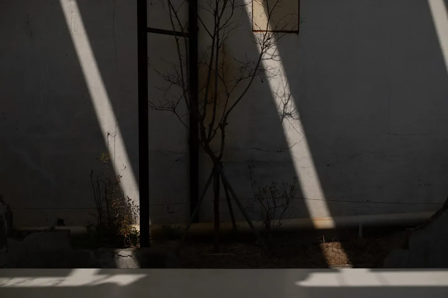 2019 korea image 17