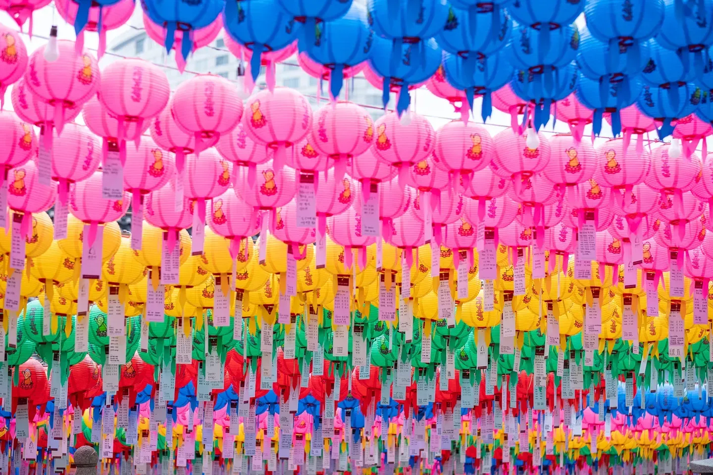 2019 korea image 39