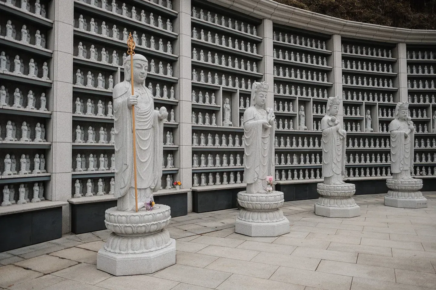 2019 korea image 45
