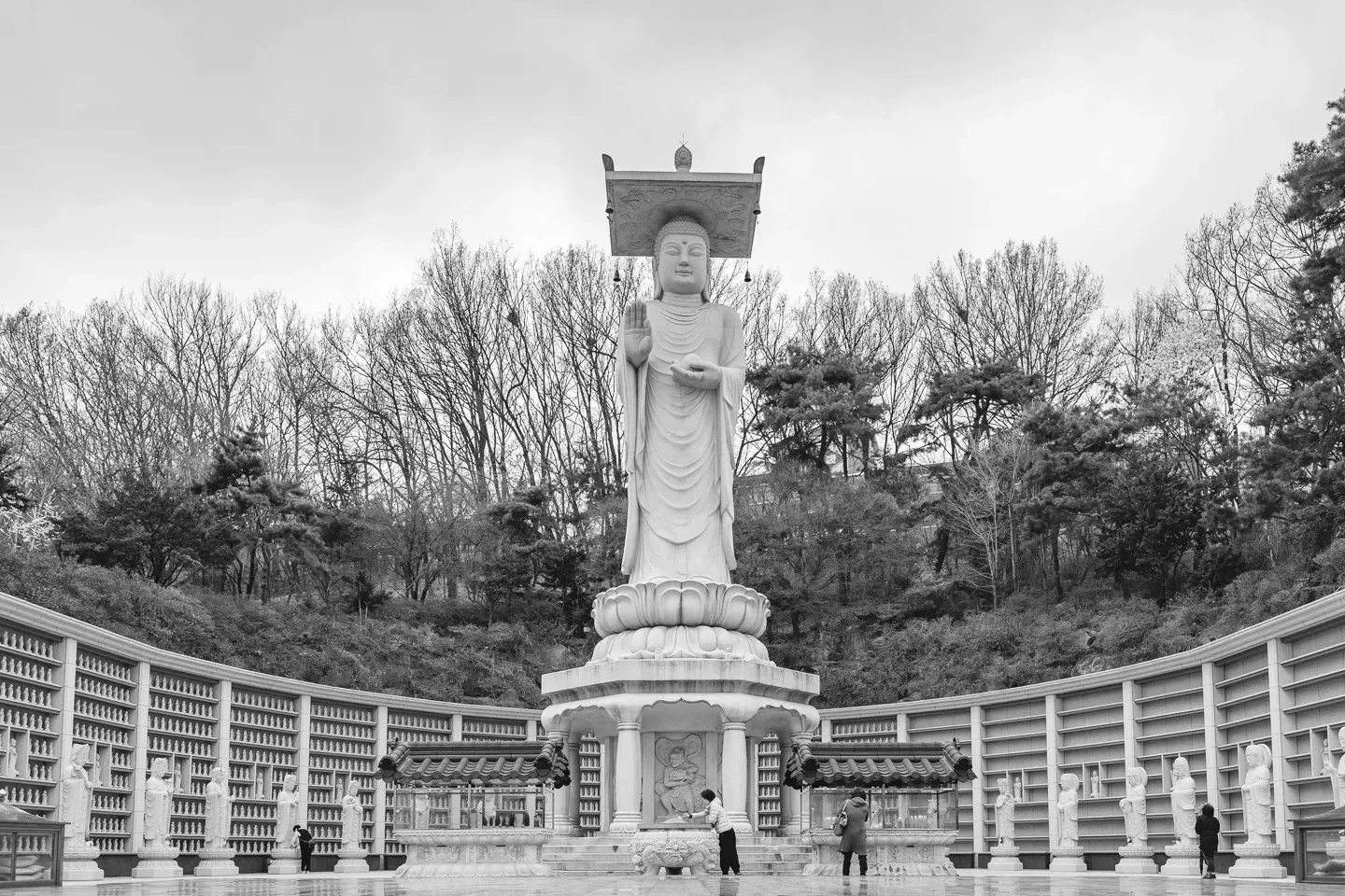 2019 korea image 47