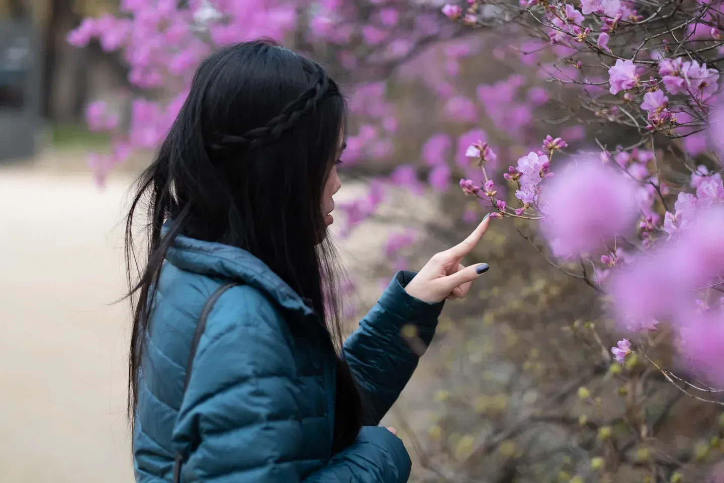 2019 korea image 65