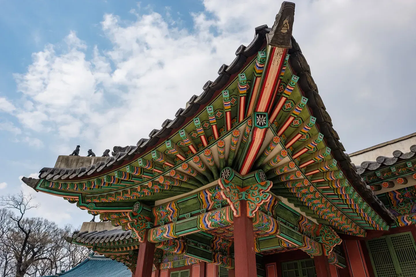 2019 korea image 67