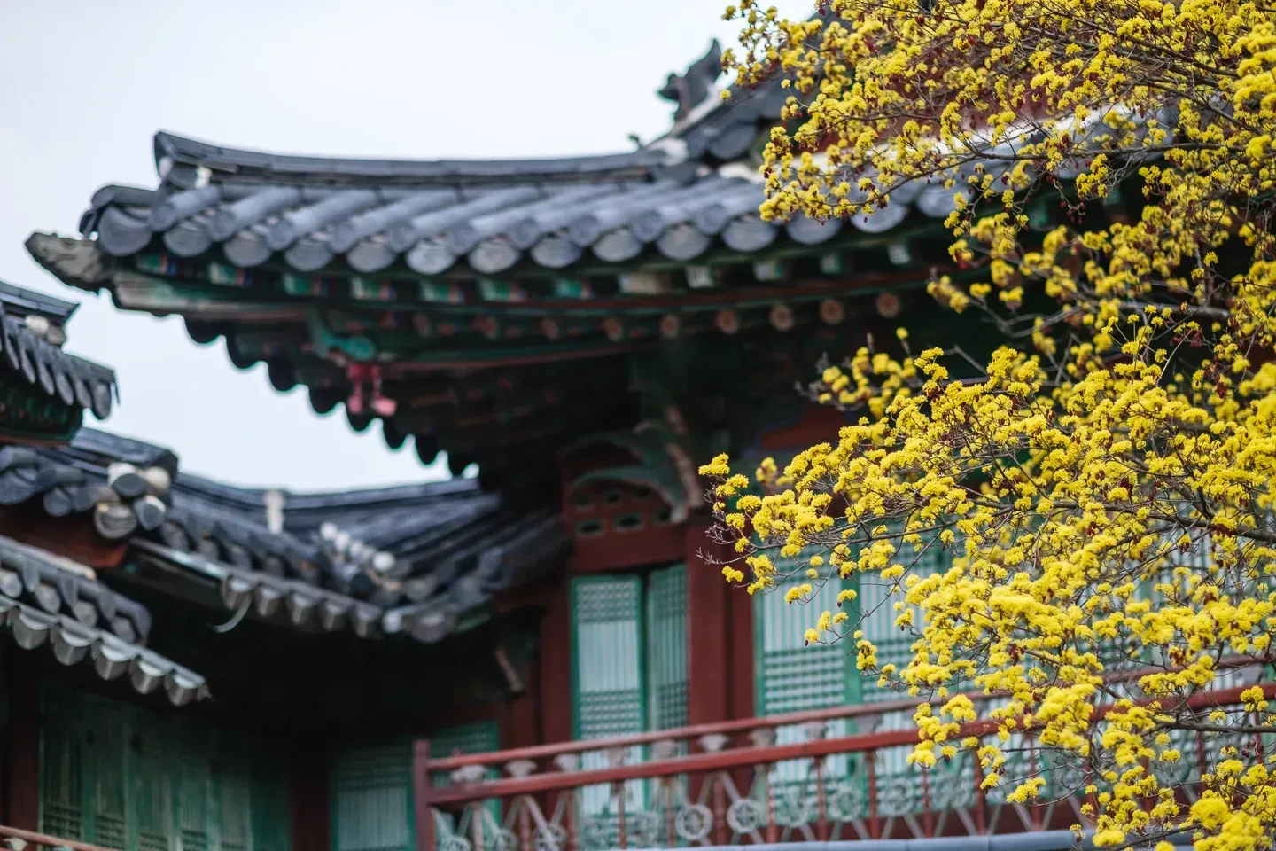 2019 korea image 70