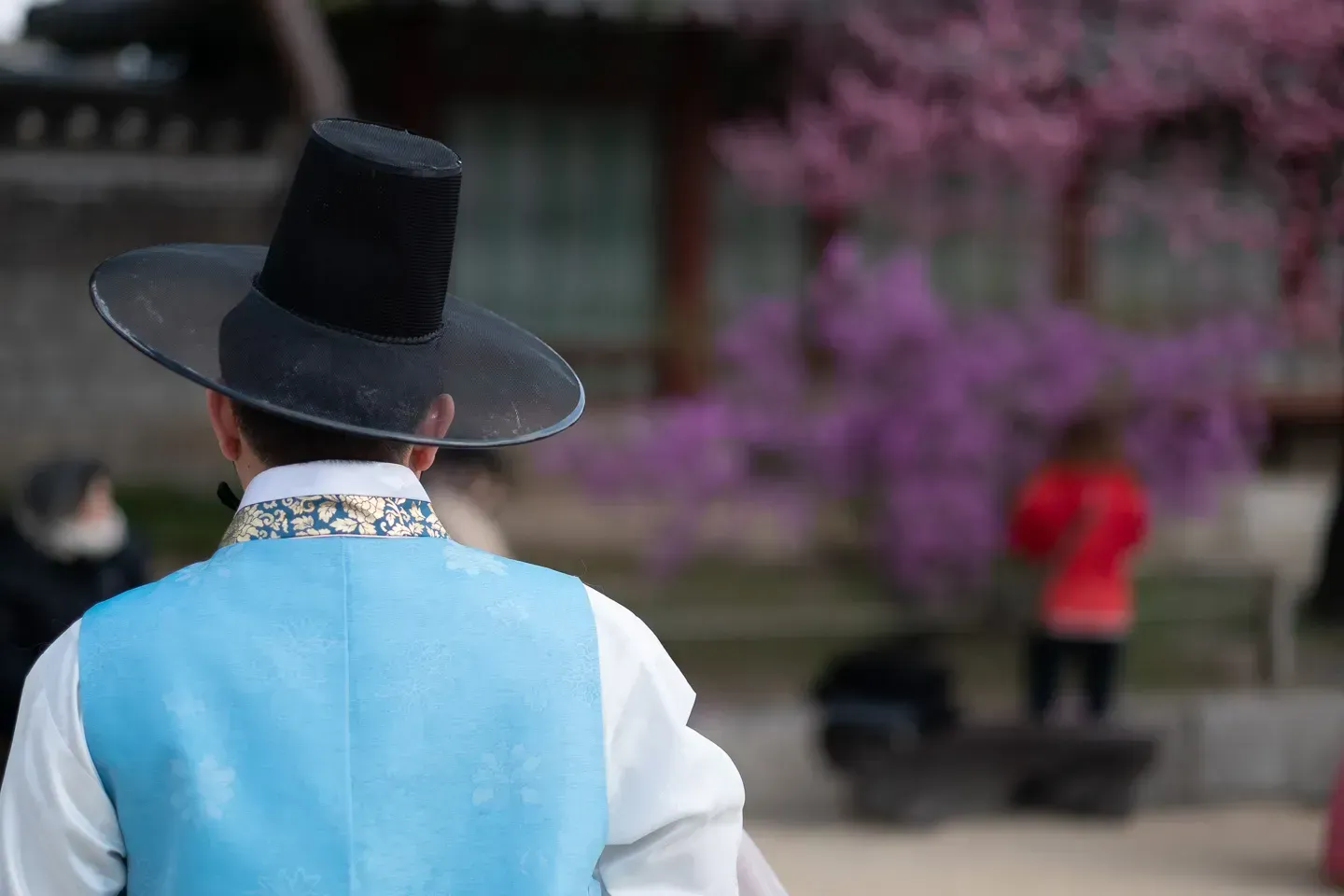 2019 korea image 74