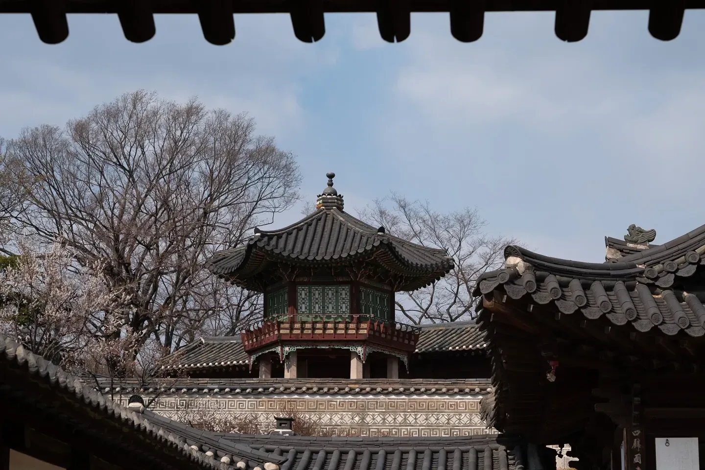 2019 korea image 75
