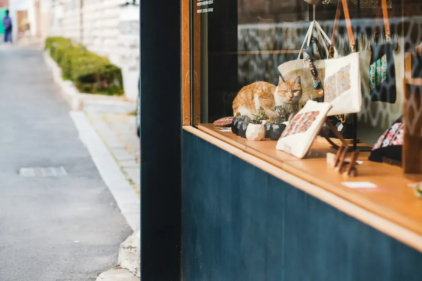 2019 korea image 79