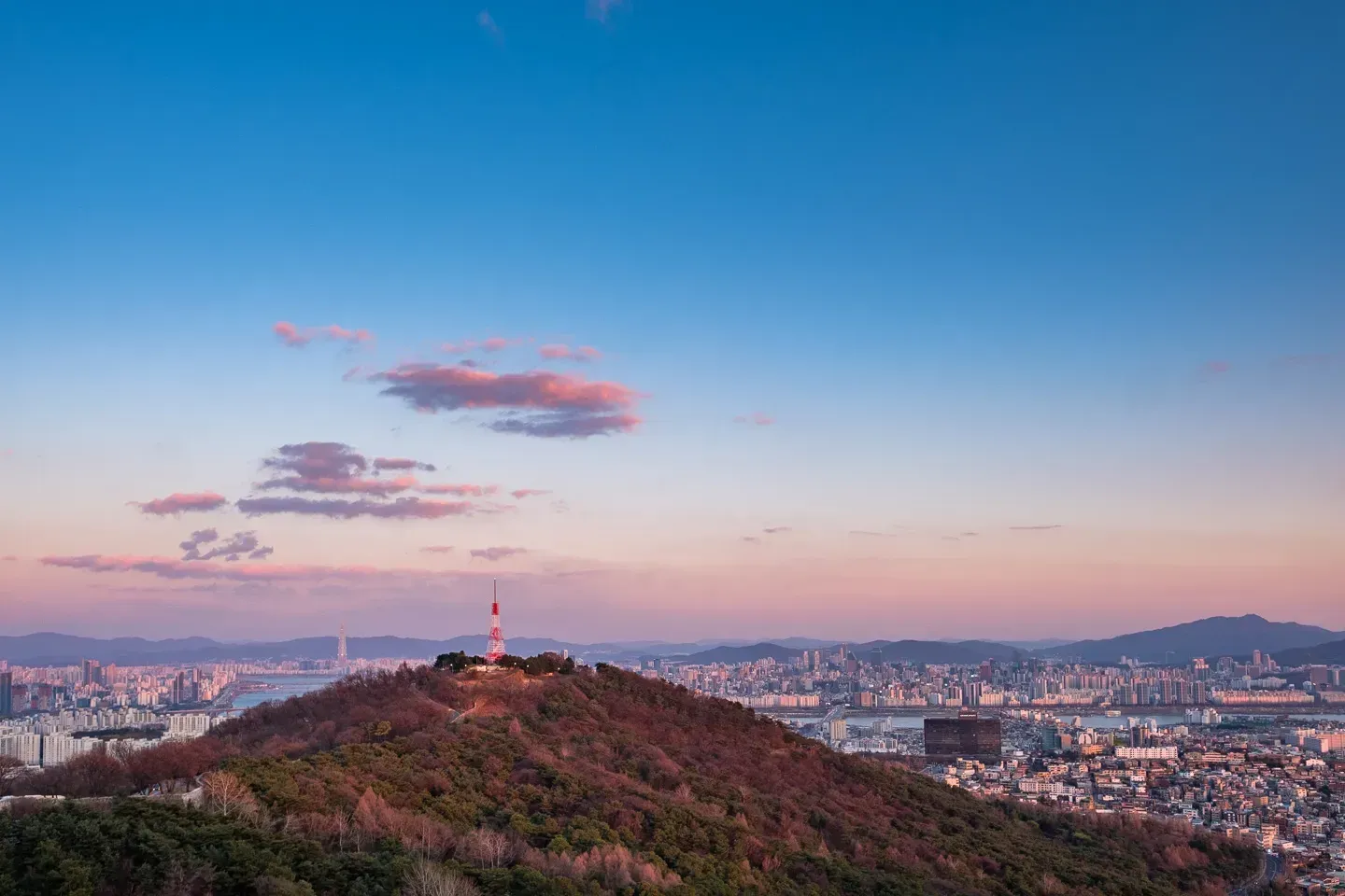 2019 korea image 92