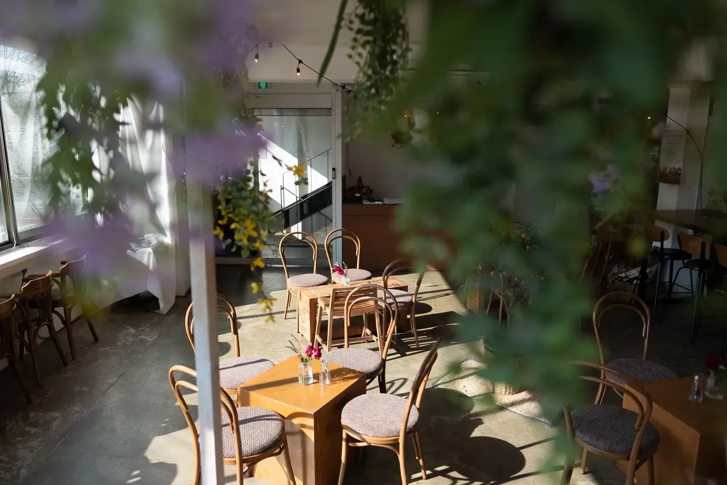 2019 korea image 112