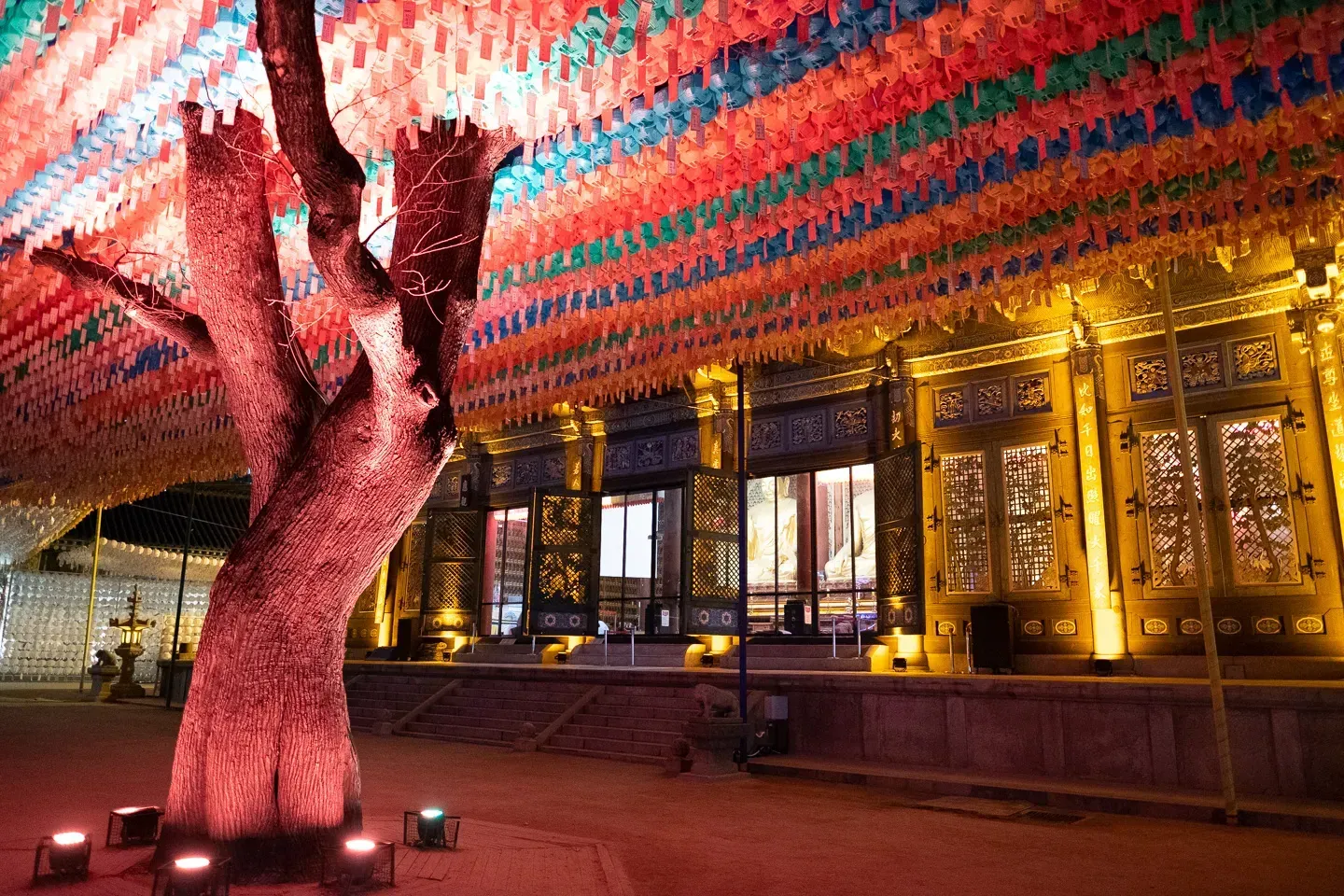 2019 korea image 125