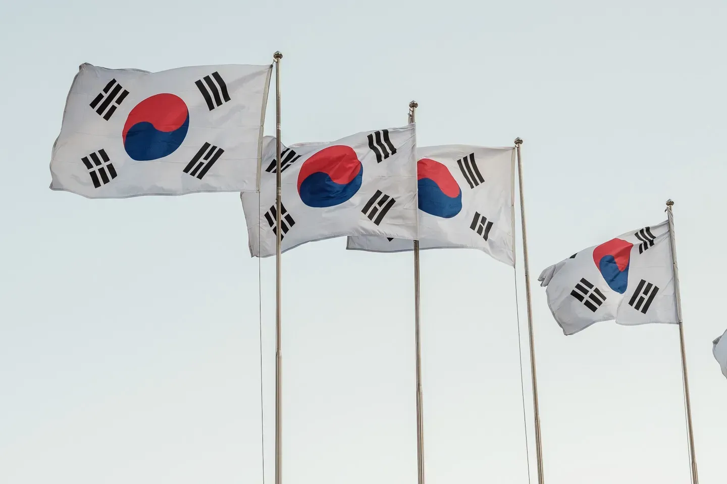 2019 korea image 135