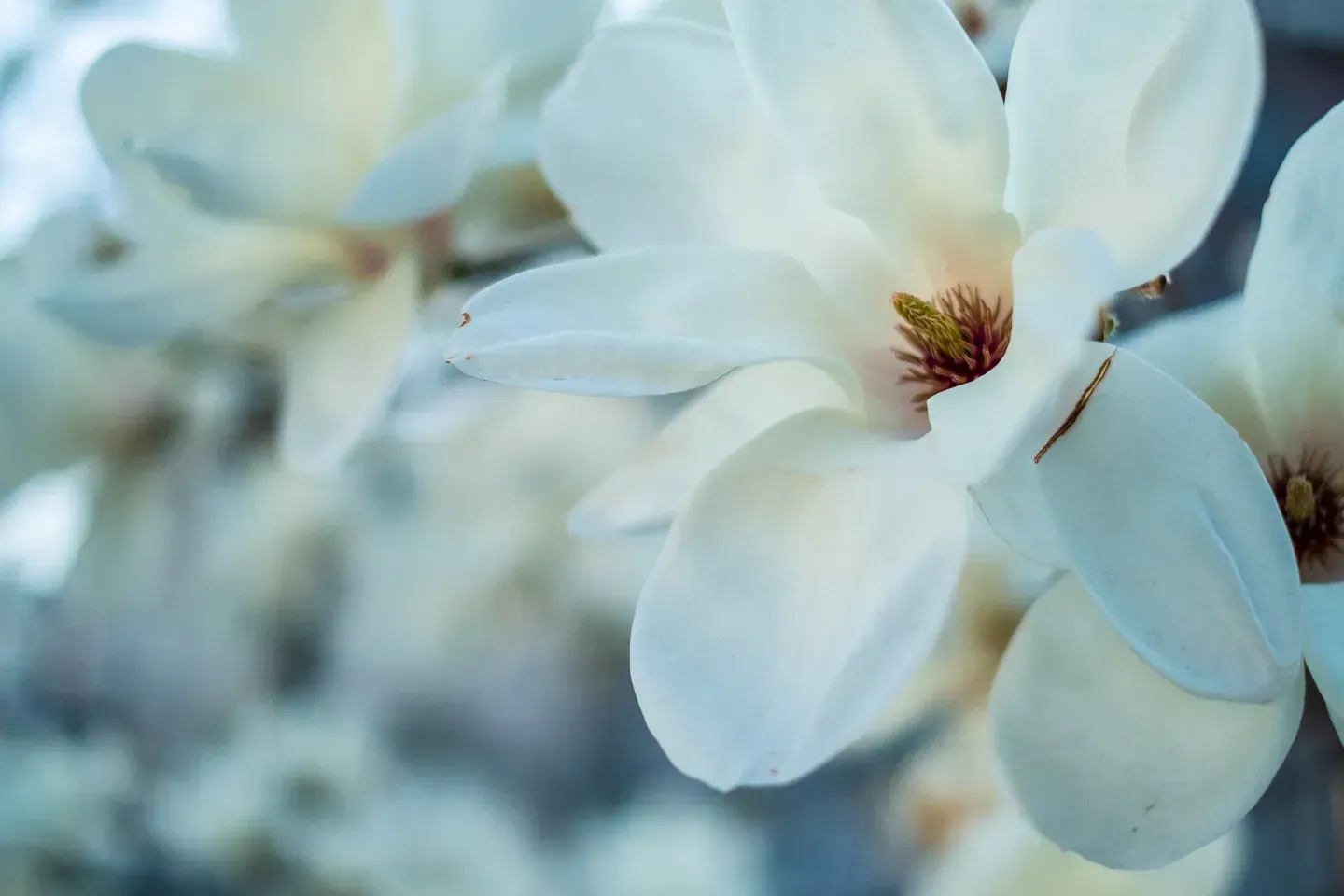 2019 korea image 173
