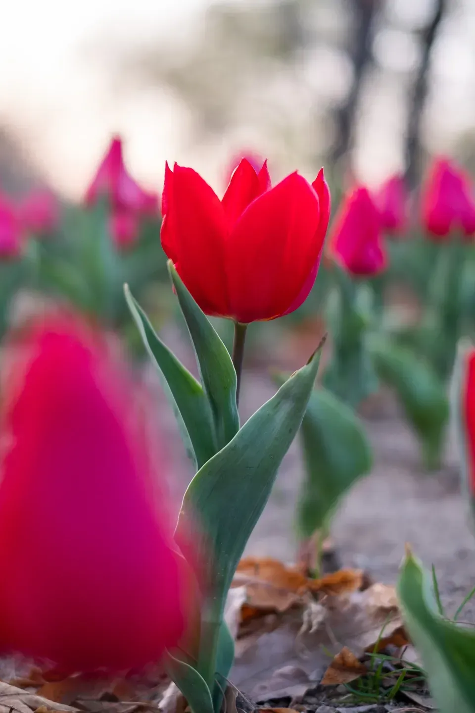 2019 korea image 174