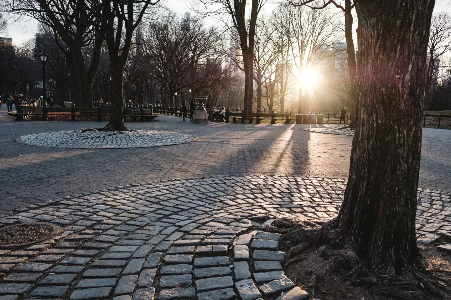 2020 nyc image 34