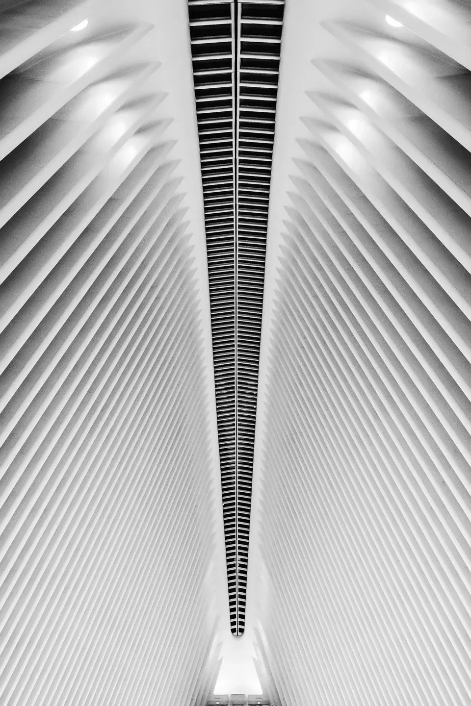 2020 nyc image 52