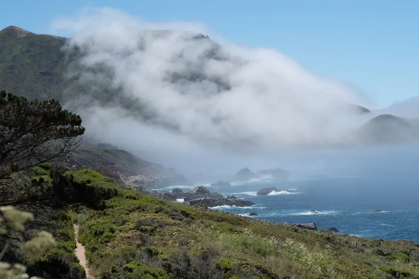 2021 california image 28