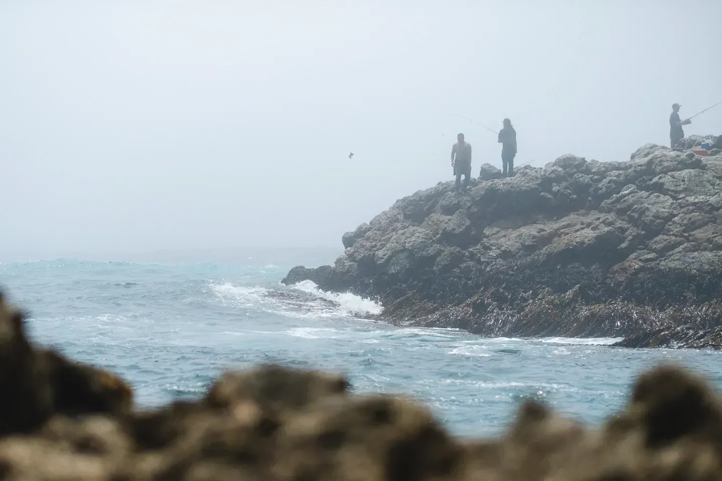 2021 california image 29