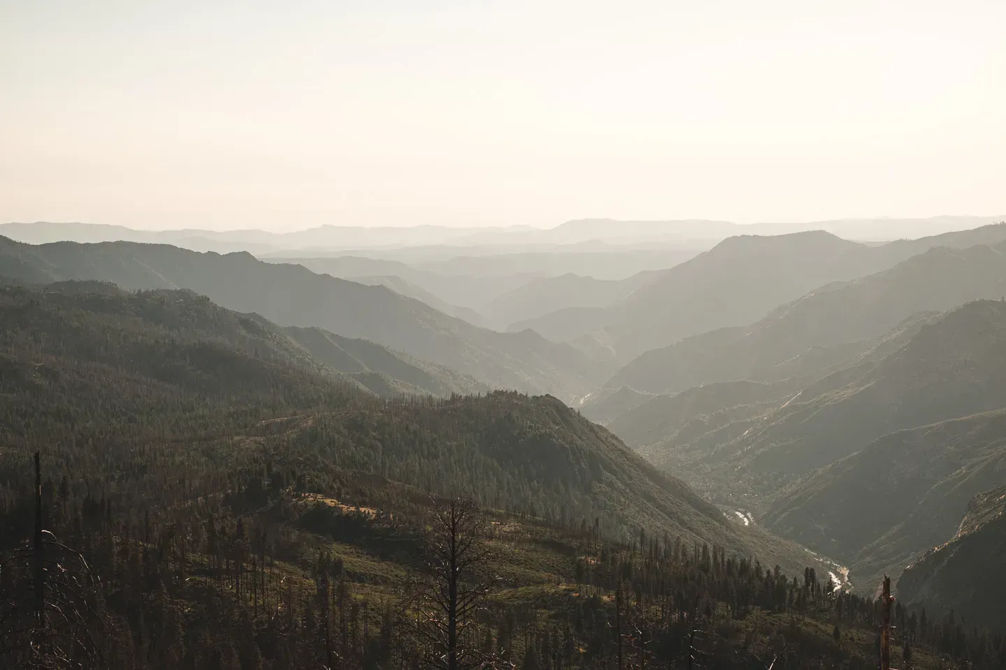 2021 california image 84